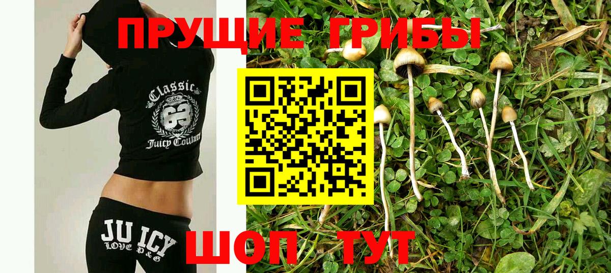 Вичуга  Галлюциногенные грибы Magic Shrooms  Вход с VPN 